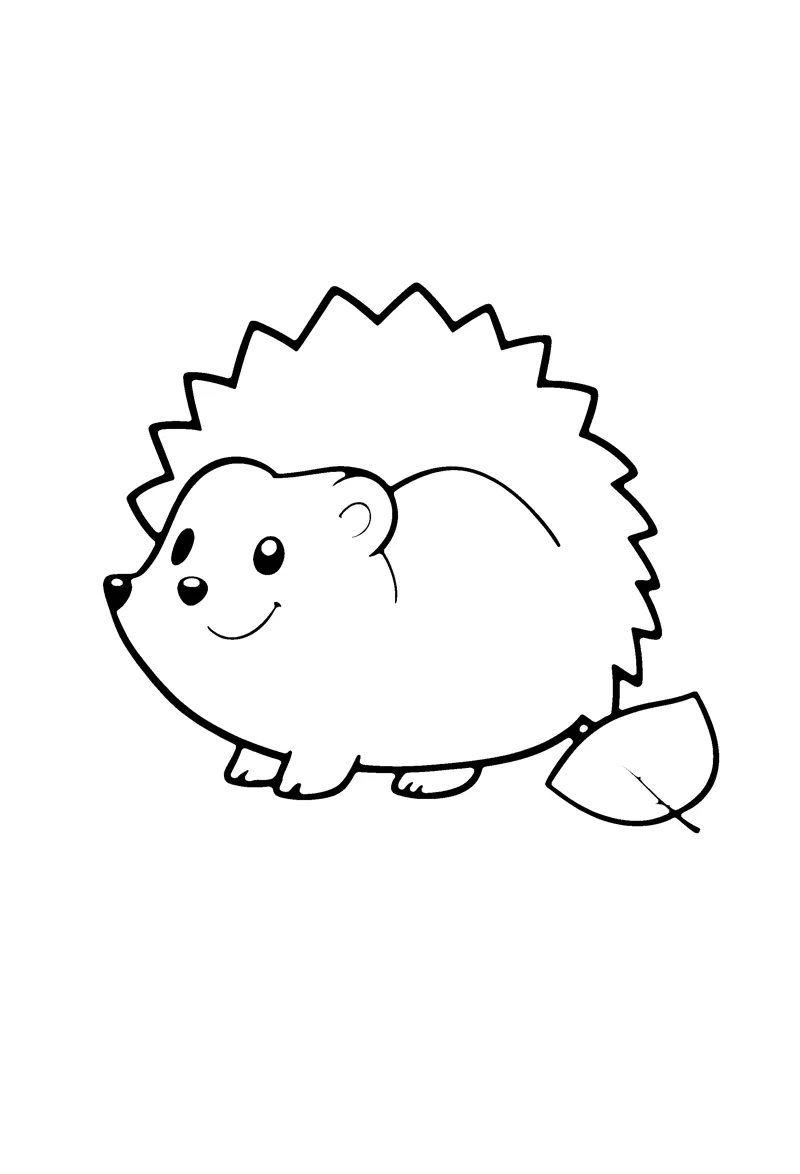 Hedgehog coloring page preview