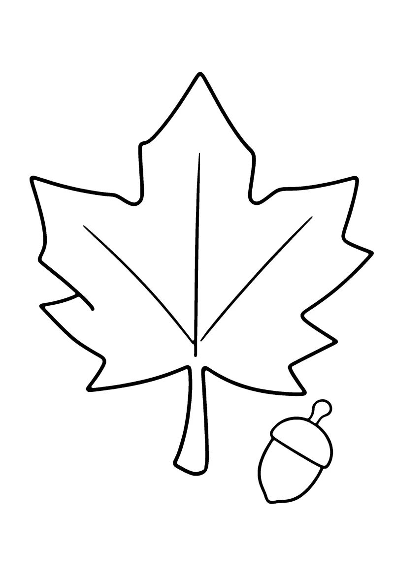 Maple Leaf coloring page preview